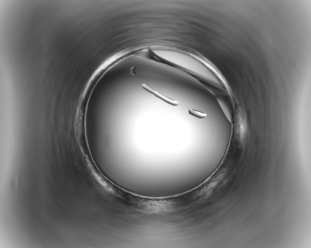 X0000085771053200703161138