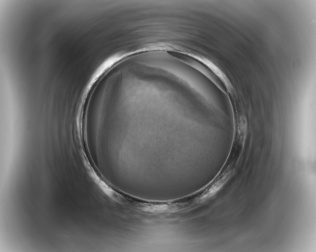 X0000085771054200703161138