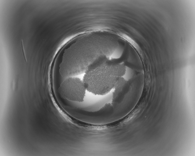 X0000085771055200703161138