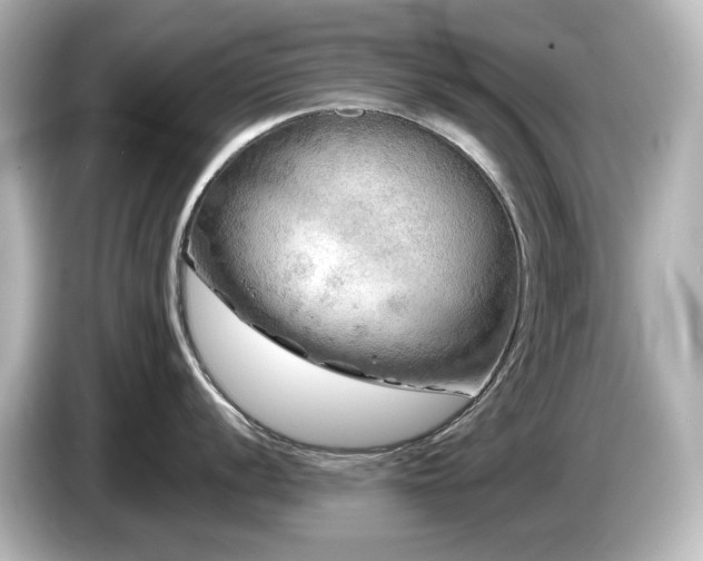 X0000085771056200703161138