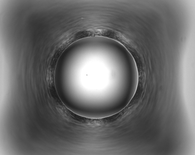 X0000085771058200703161137