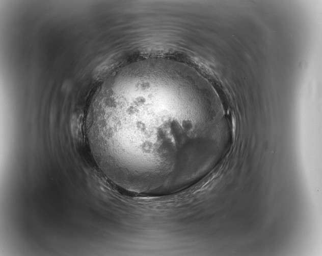 X0000085771059200703161137