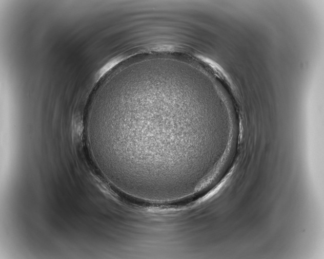 X0000085771065200703161137