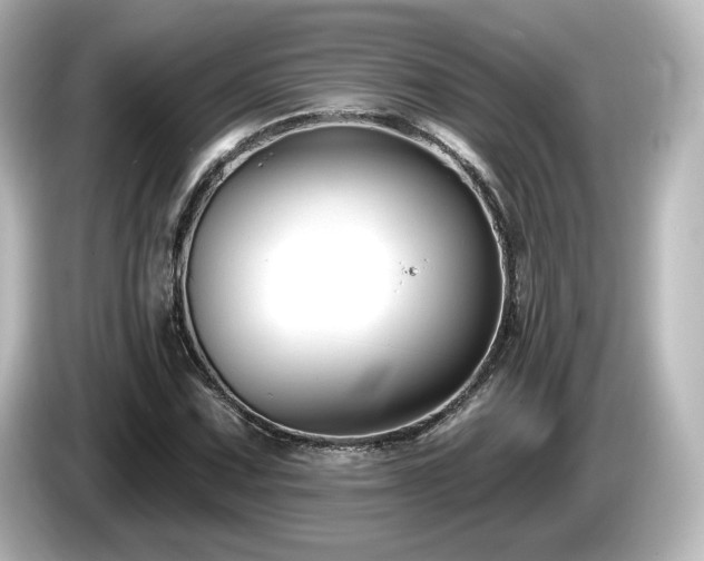 X0000085771067200703161137