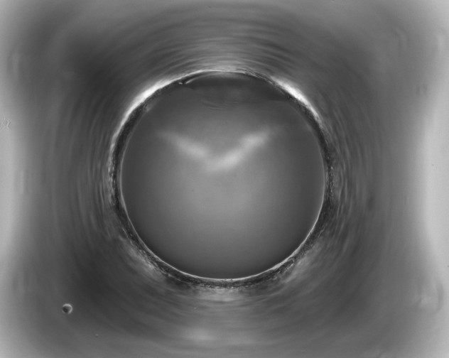 X0000085771071200703161137