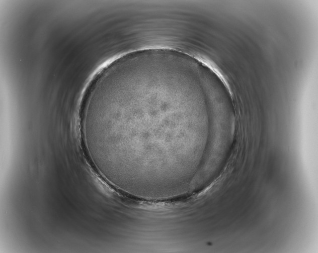 X0000085771072200703161137