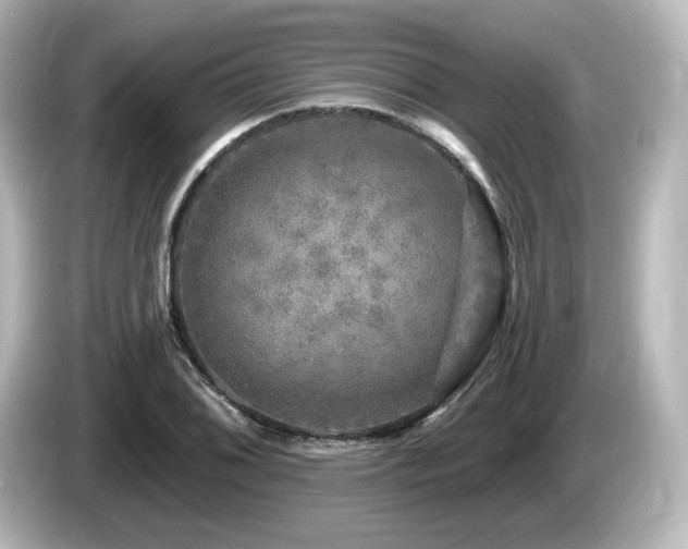 X0000085771076200703161137