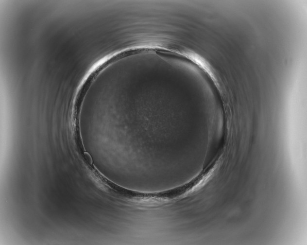 X0000085771077200703161137