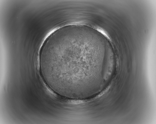 X0000085771079200703161137