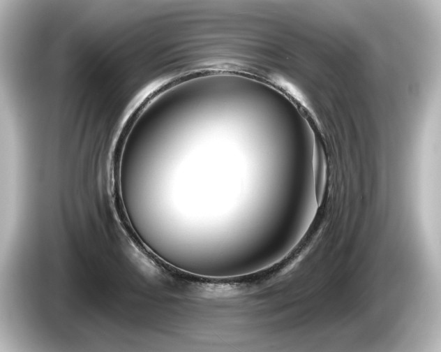 X0000085771082200703161137