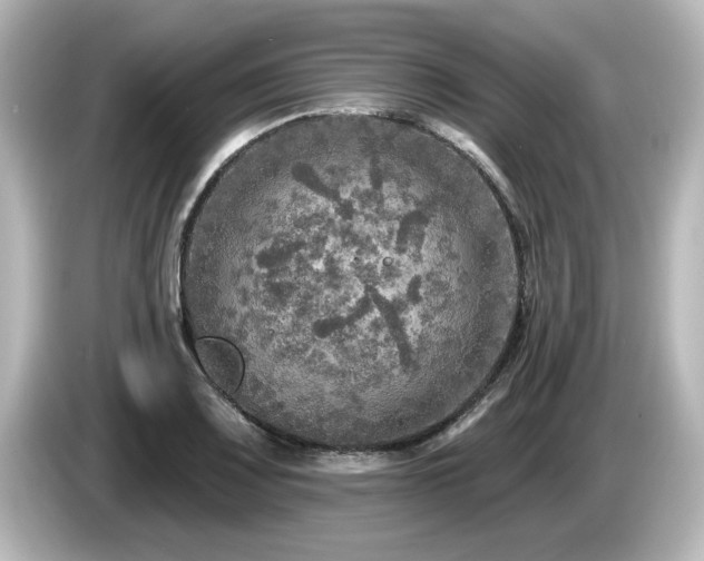 X0000085771083200703161137