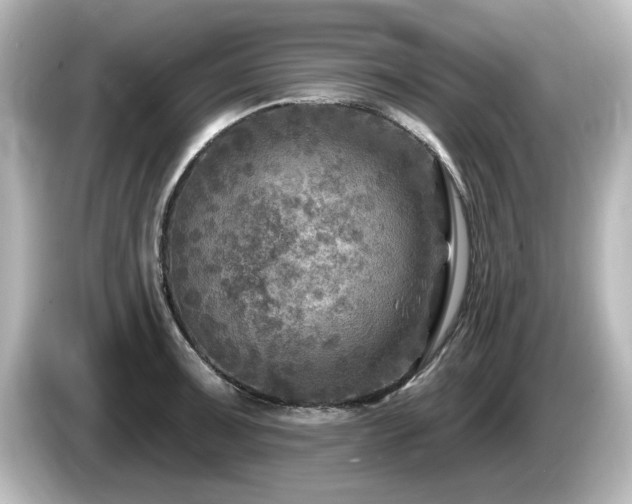 X0000085771091200703161137