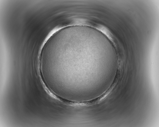 X0000085771094200703161137