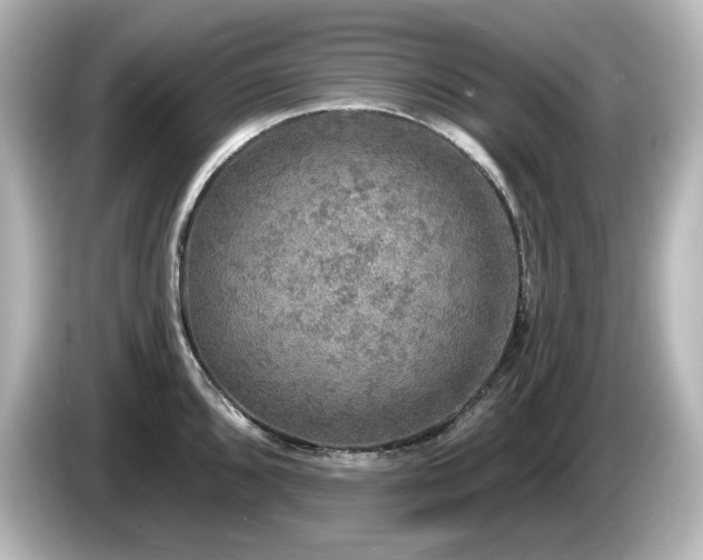 X0000085771096200703161137