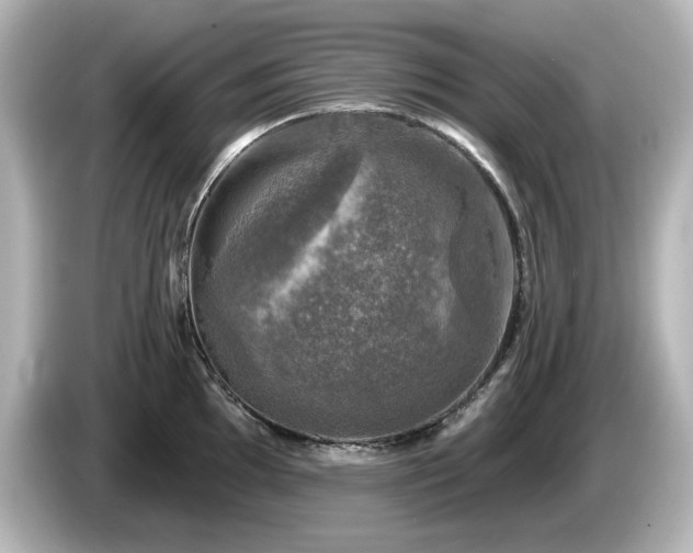 X0000085771097200703161137