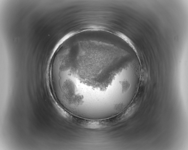 X0000085771098200703161137