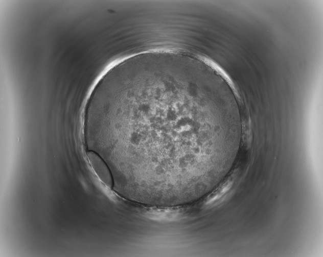 X0000085771099200703161137