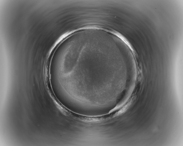 X0000085771101200703161136