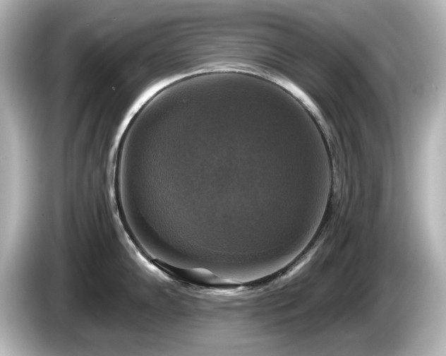 X0000085771102200703161136