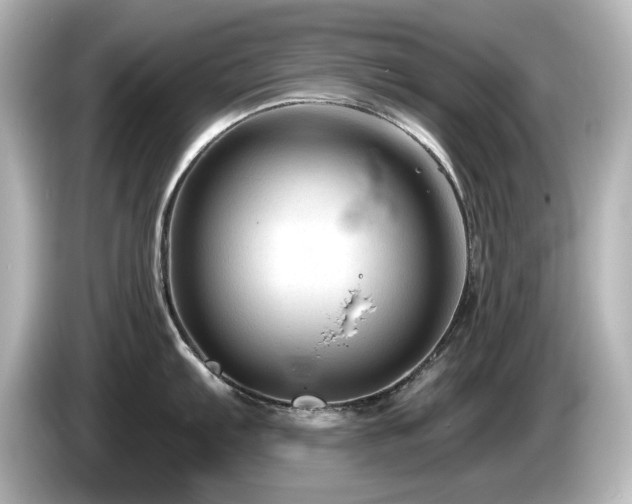 X0000085771103200703161136