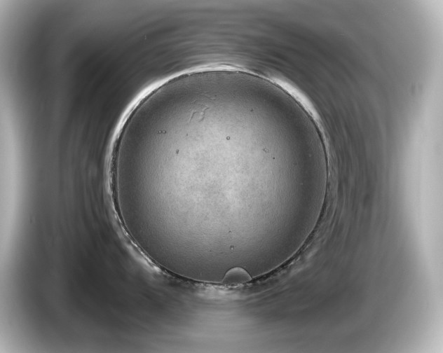 X0000085771104200703161136