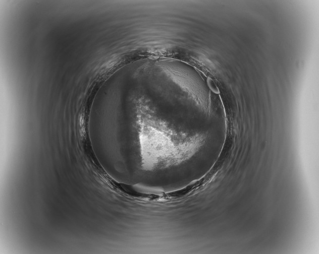 X0000085771106200703161136