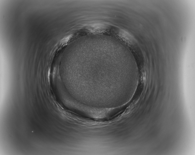 X0000085771108200703161136