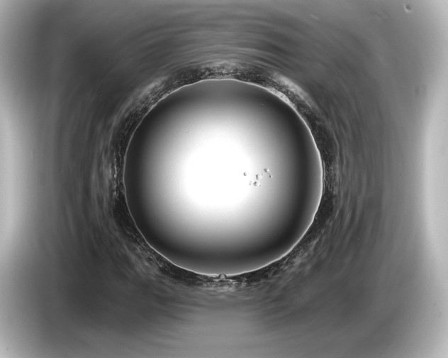 X0000085771111200703161136