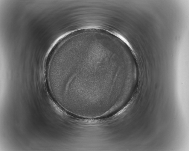 X0000085771116200703161136