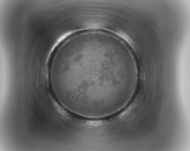 X0000085771118200703161136