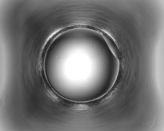 X0000085771119200703161136