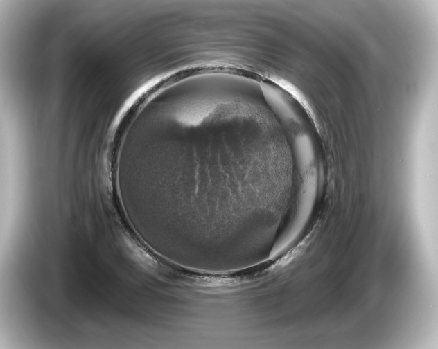 X0000085771120200703161136