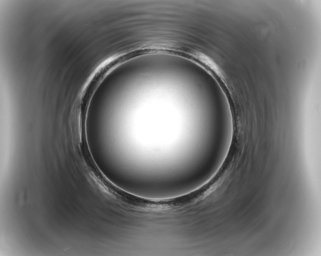 X0000085771123200703161136