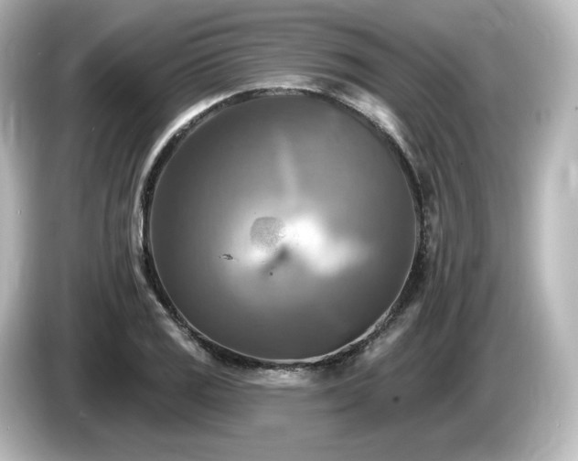 X0000085771125200703161136