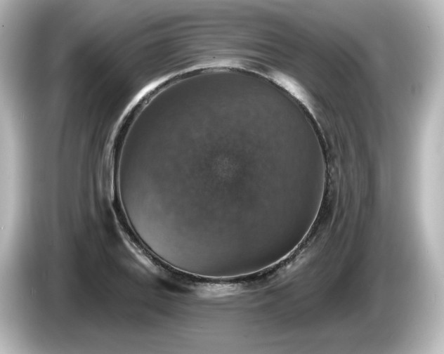 X0000085771127200703161136