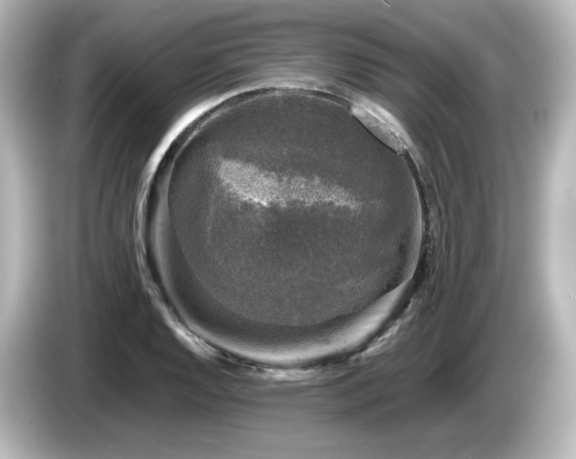 X0000085771128200703161136