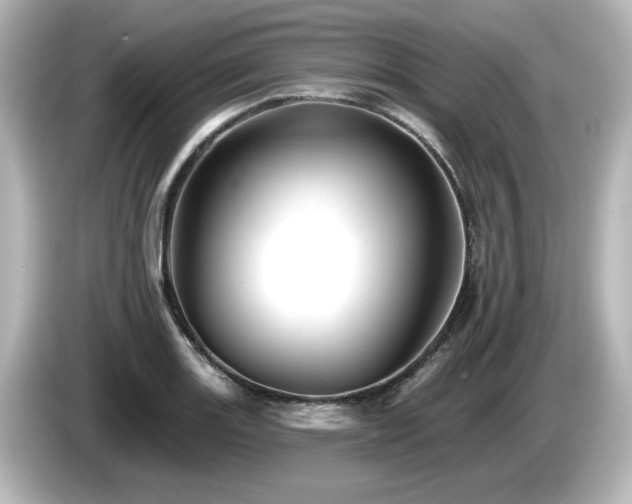 X0000085771131200703161136