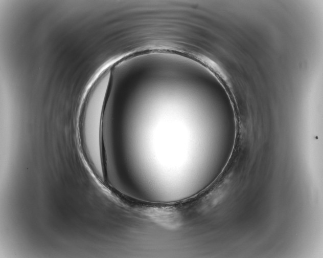 X0000085771133200703161136