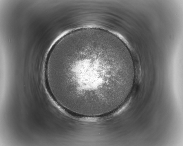 X0000085771134200703161136