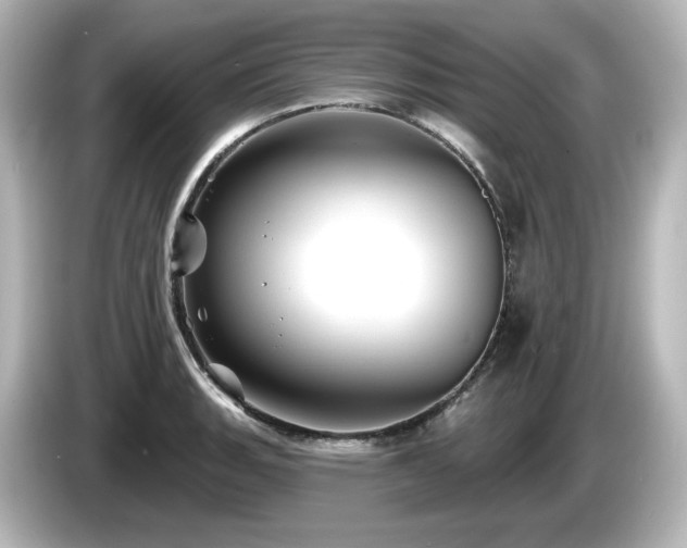 X0000085771135200703161136