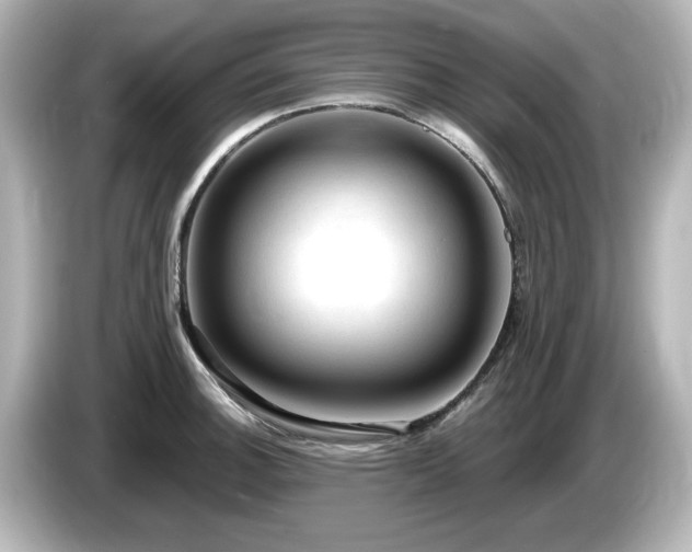 X0000085771140200703161136