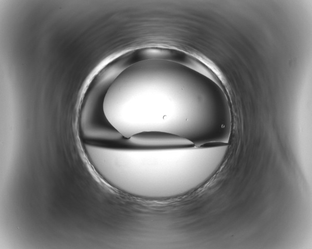 X0000085771144200703161136