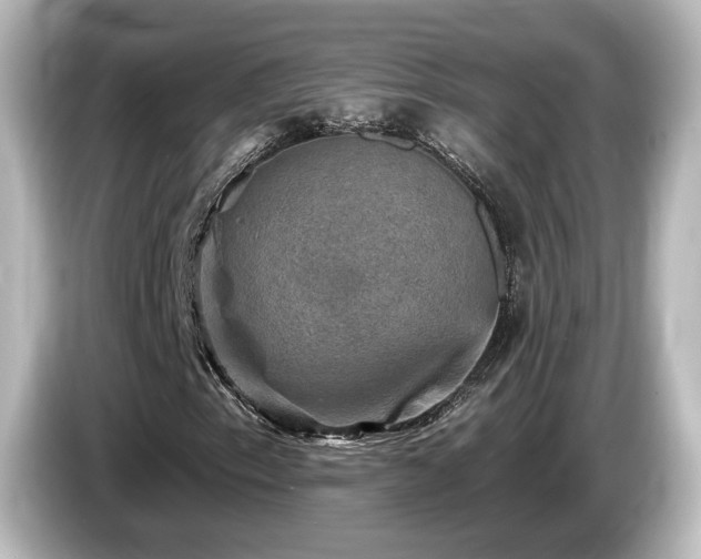 X0000085771153200703161136