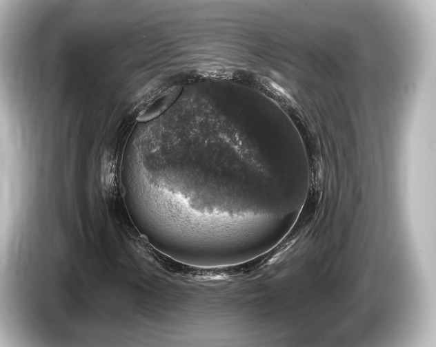 X0000085771154200703161136