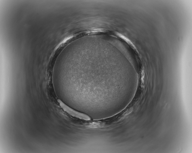 X0000085771160200703161135