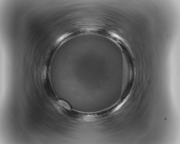 X0000085771161200703161135