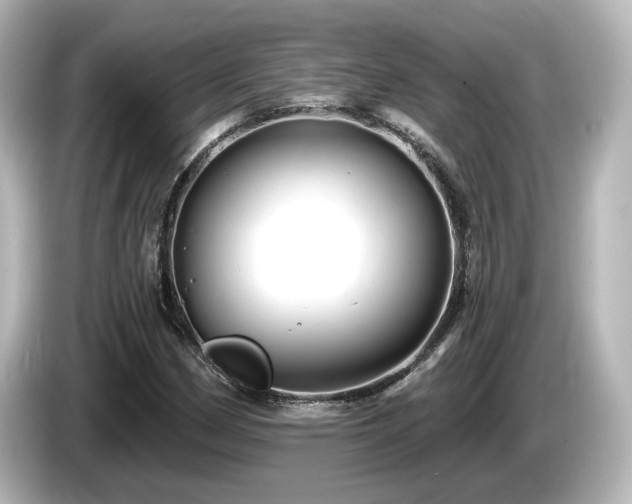 X0000085771162200703161135