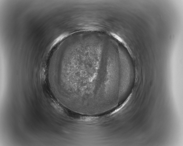 X0000085771163200703161135