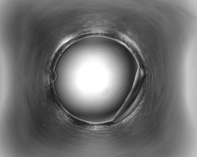 X0000085771166200703161135