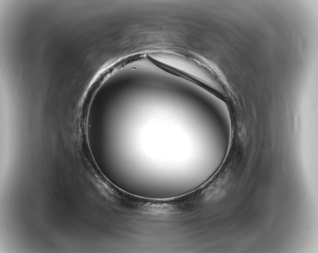 X0000085771168200703161135